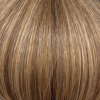 Beige Blonde Highlight Mix (4/24)